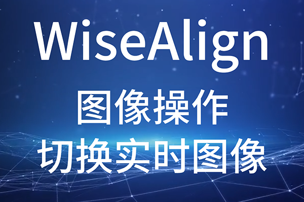 WiseAlign-圖像操作-切換實(shí)時(shí)圖像